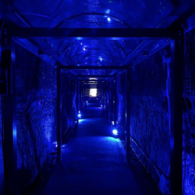 光の隧道（中山隧道）
